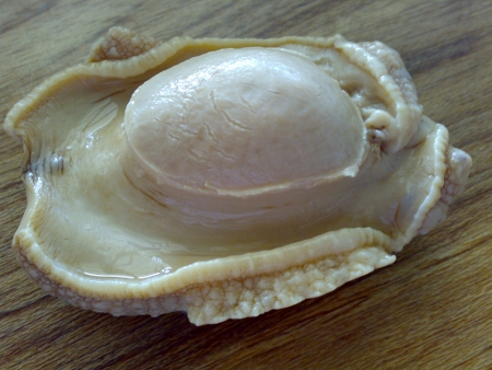 abalone-on-chopping-board