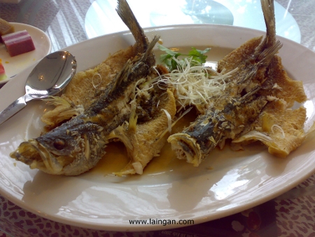 deep-fried-sea-bass-with-oyster-sauce