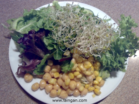 salads-laingan-dot-com