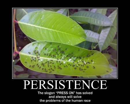 http://laingan.com/images/2motivator-persistence-big-ants-and-leaves1