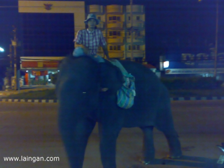 man-riding-on-elephant-in-thailand
